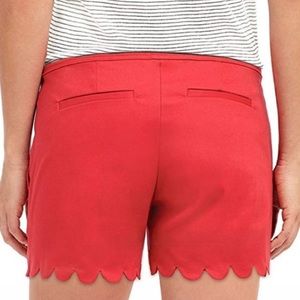 The Limited scalloped tailored shorts